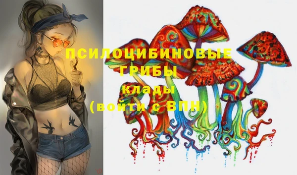 гашик Балахна