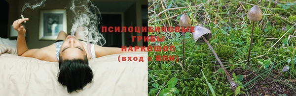 2c-b Балабаново