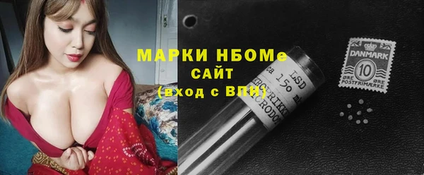 шишки Арсеньев