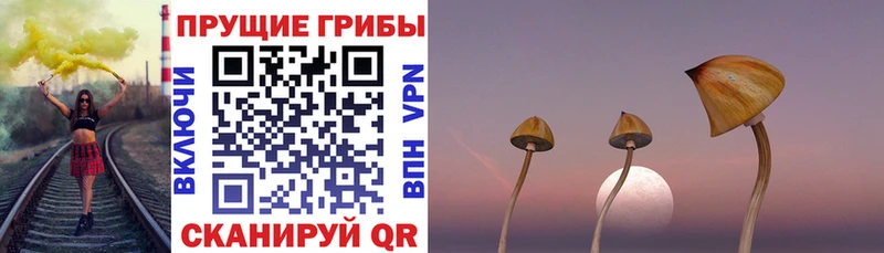 Псилоцибиновые грибы мухоморы  omg ТОР  Красково  наркота 